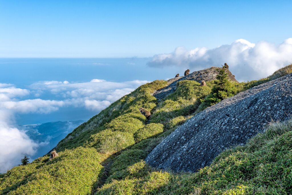 屋久島のパワースポットで心身をリフレッシュする方法は？