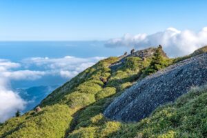 屋久島のパワースポットで心身をリフレッシュする方法は？