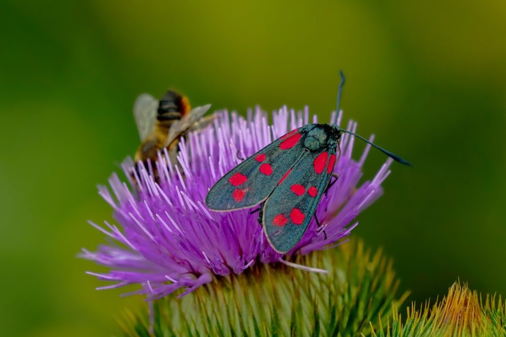 佐賀の自然にあるパワースポットはどこですか？