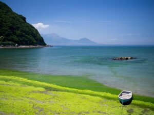 九州の安産祈願スポットランキングはどこ？