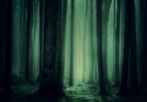 九州の神秘的な神社を訪れるべき理由は？