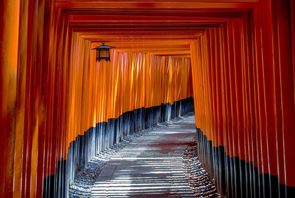 宮崎で健康を祈願する神社はどこにある？